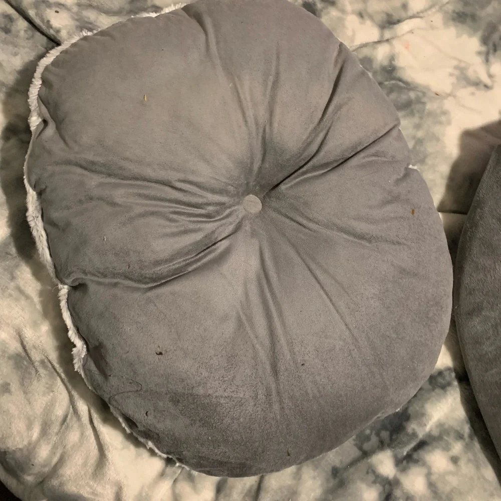 Cat bed